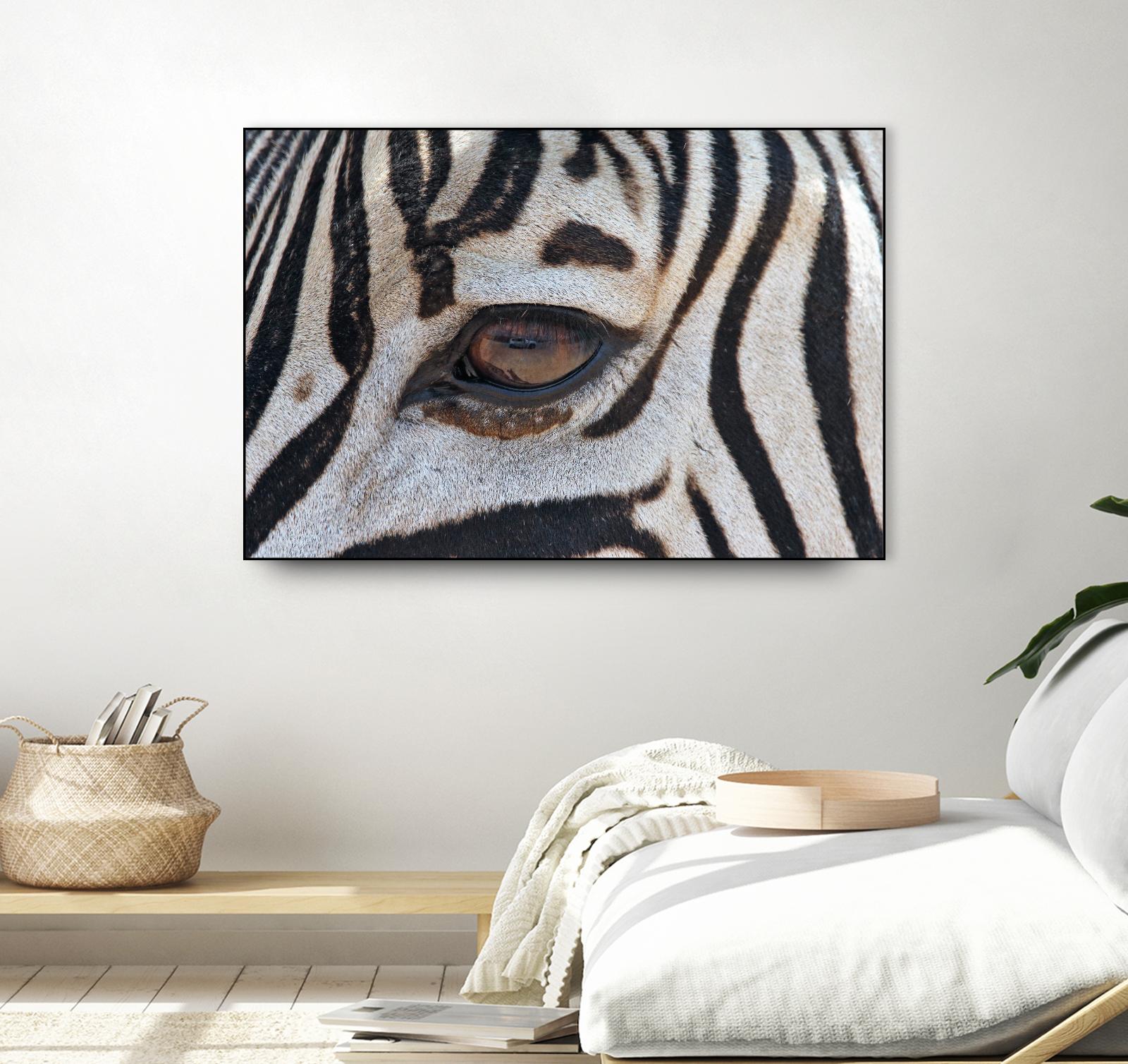 Zebra by Pexels on GIANT ART - white animals