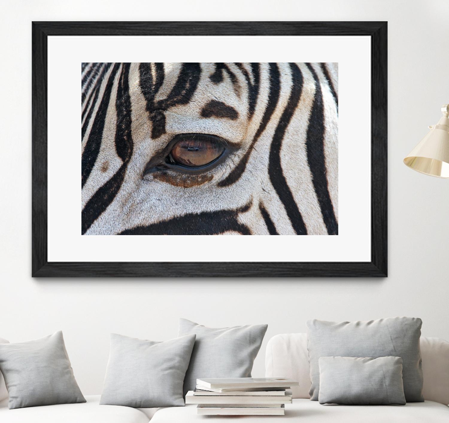 Zebra by Pexels on GIANT ART - white animals