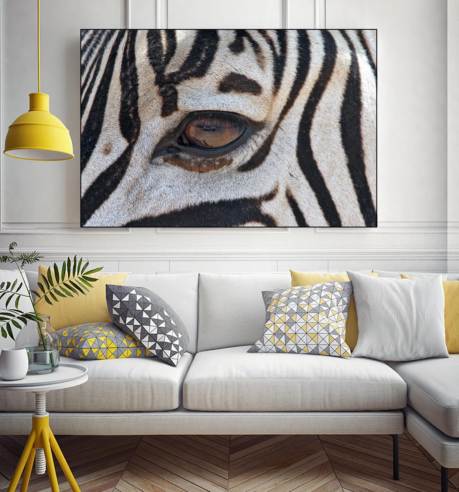 Zebra by Pexels on GIANT ART - white animals