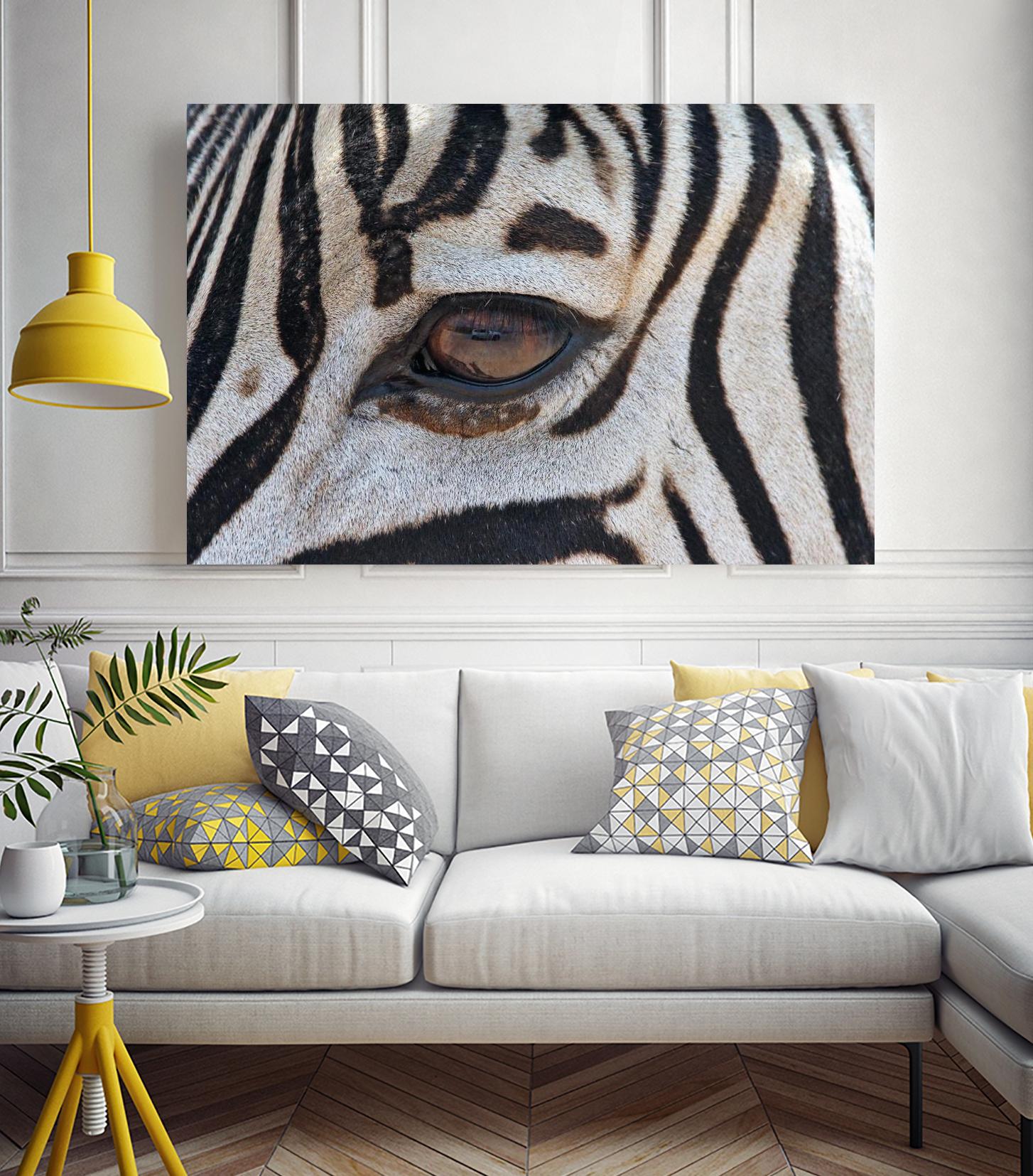 Zebra by Pexels on GIANT ART - white animals
