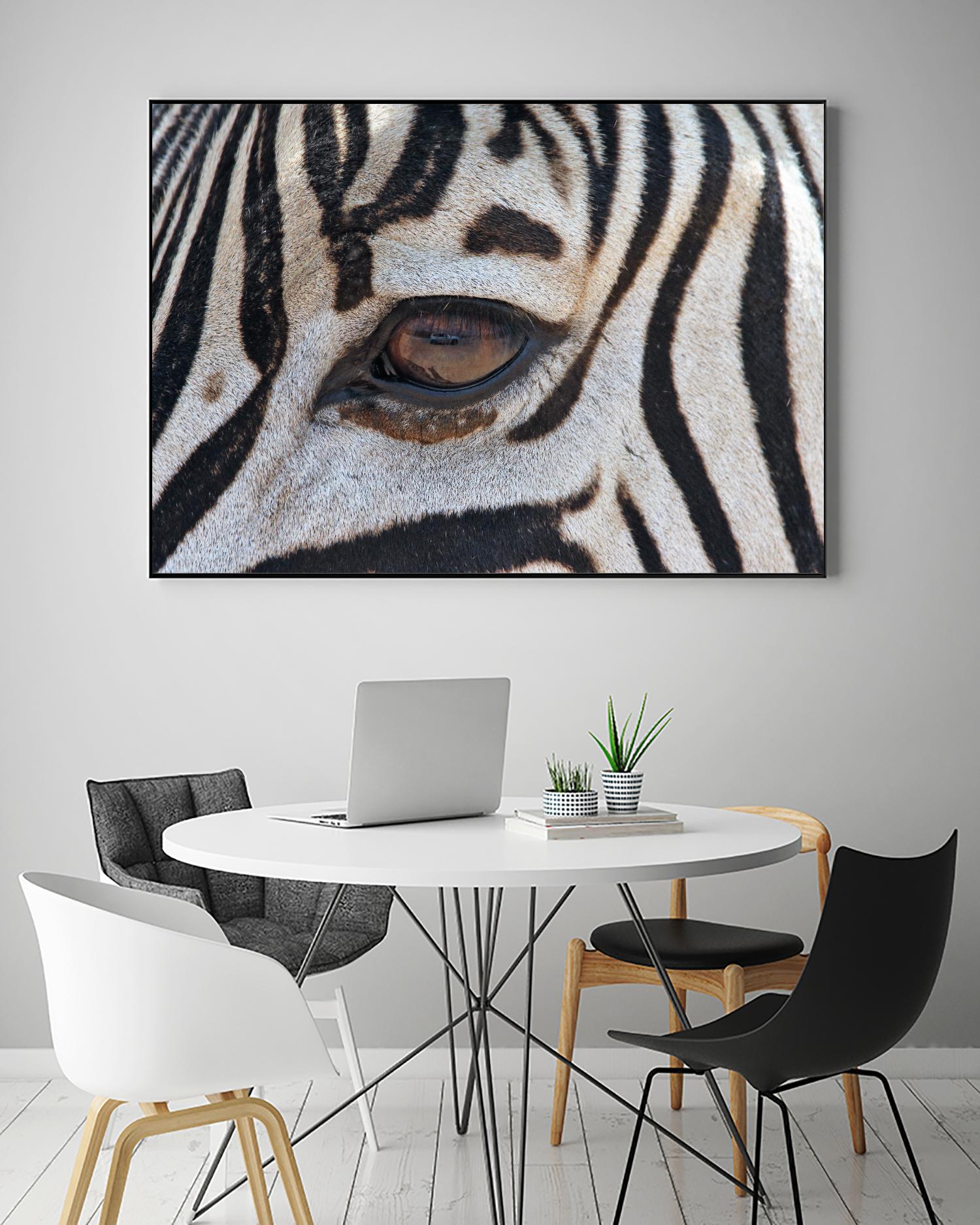 Zebra by Pexels on GIANT ART - white animals