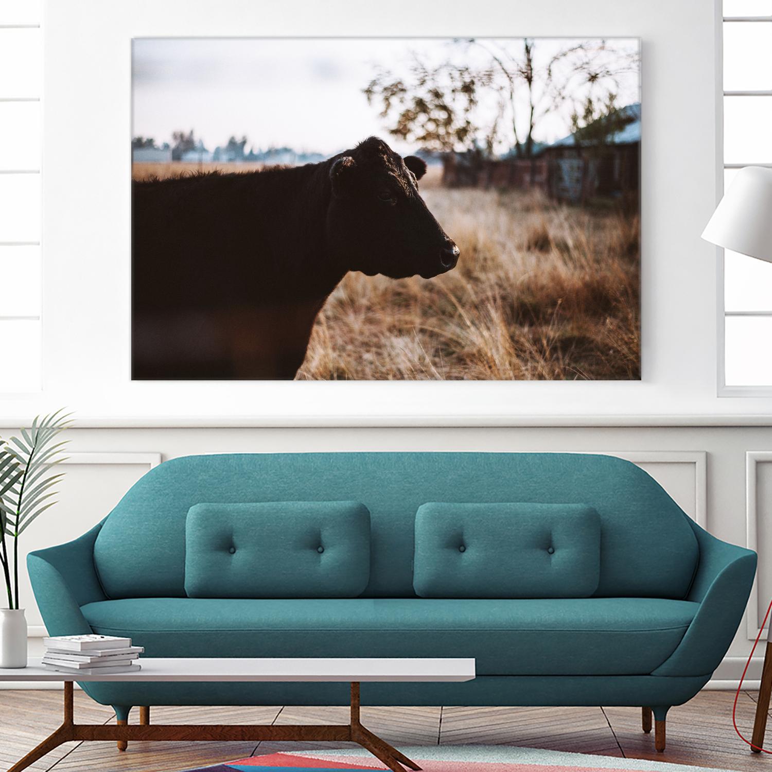 Cow by Pexels on GIANT ART - brown animals