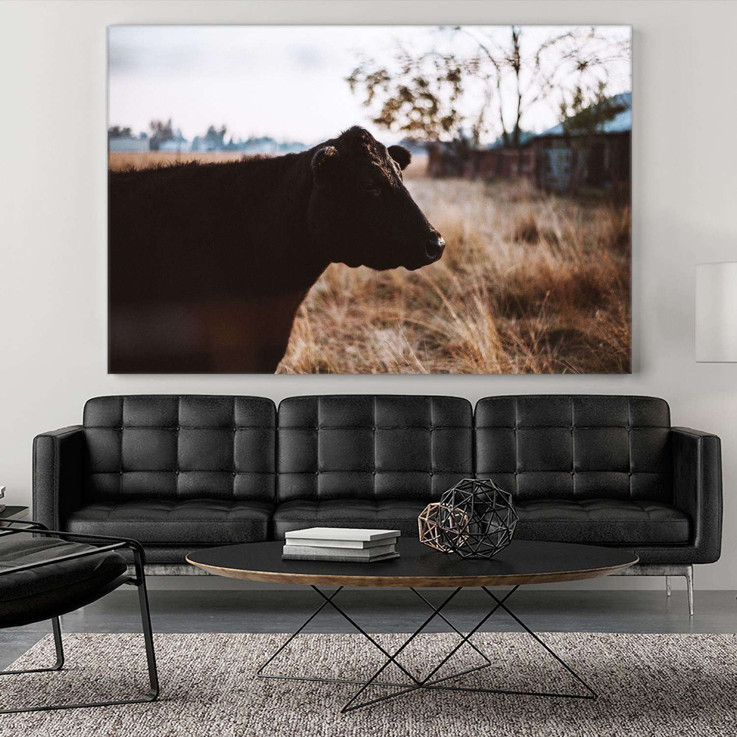 Cow by Pexels on GIANT ART - brown animals
