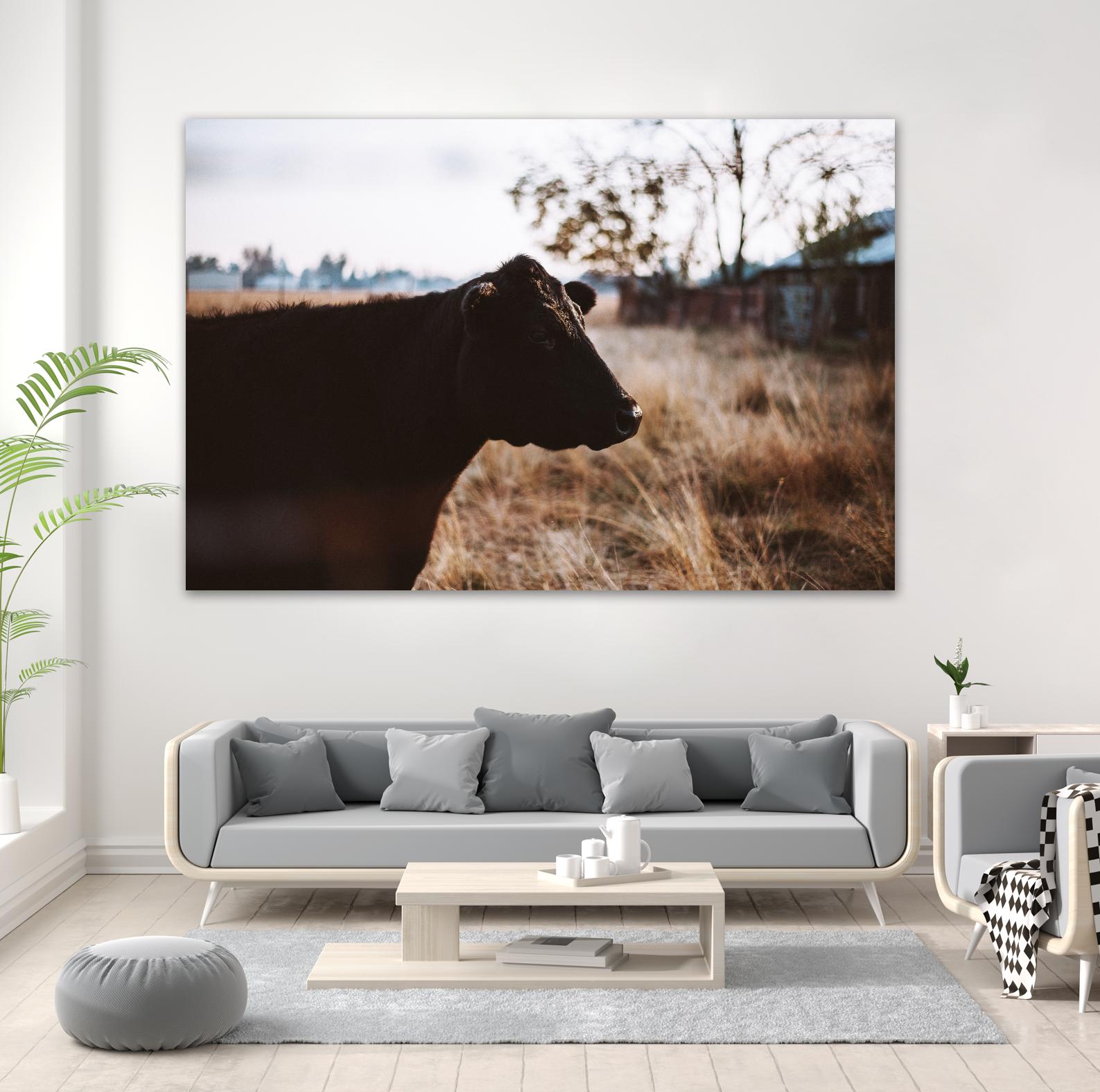 Cow by Pexels on GIANT ART - brown animals