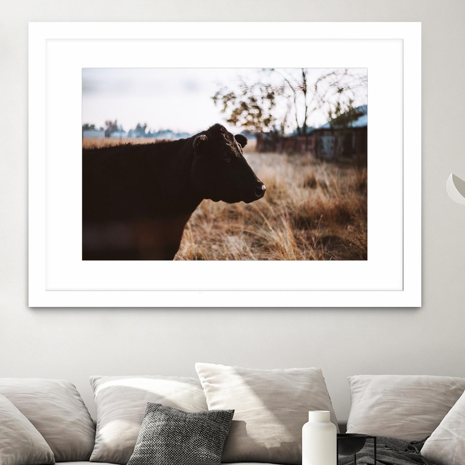 Cow by Pexels on GIANT ART - brown animals