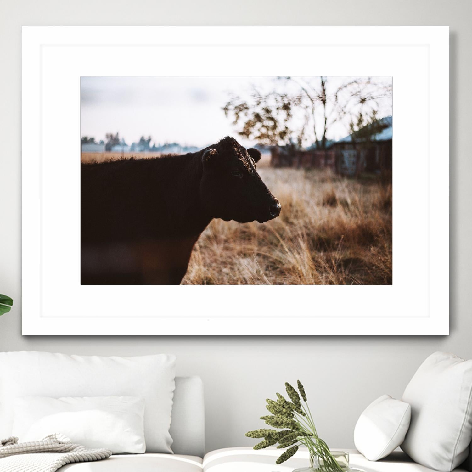 Cow by Pexels on GIANT ART - brown animals
