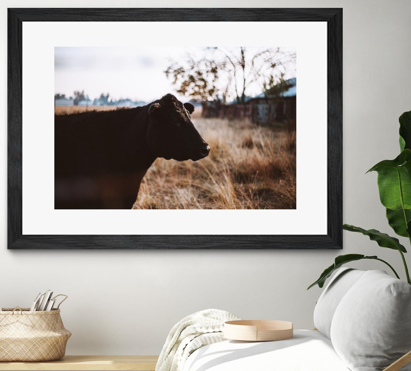 Cow by Pexels on GIANT ART - brown animals
