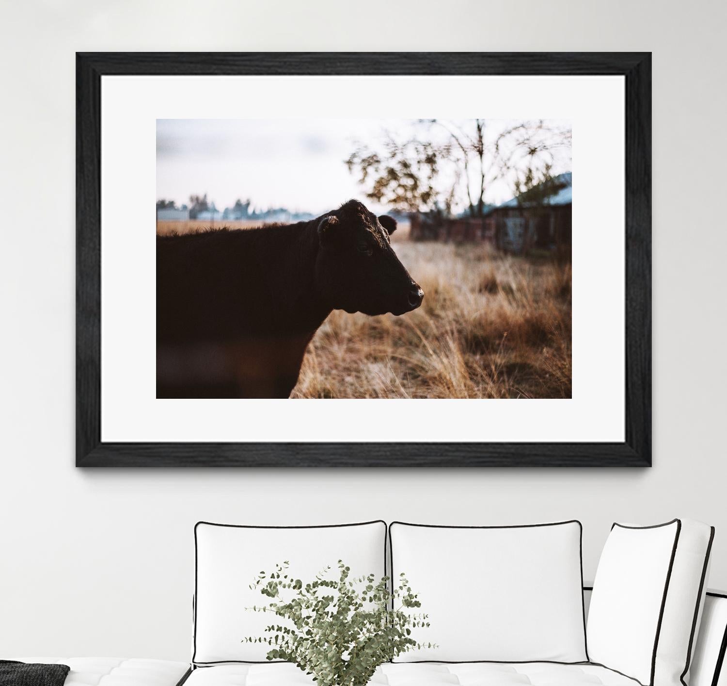 Cow by Pexels on GIANT ART - brown animals