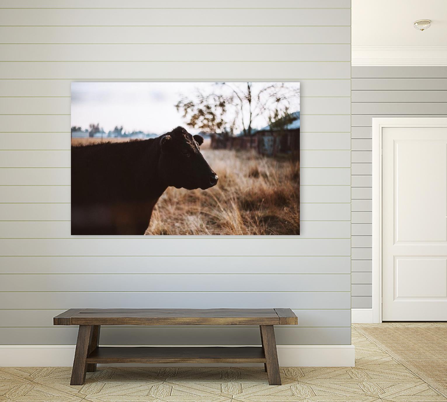 Cow by Pexels on GIANT ART - brown animals