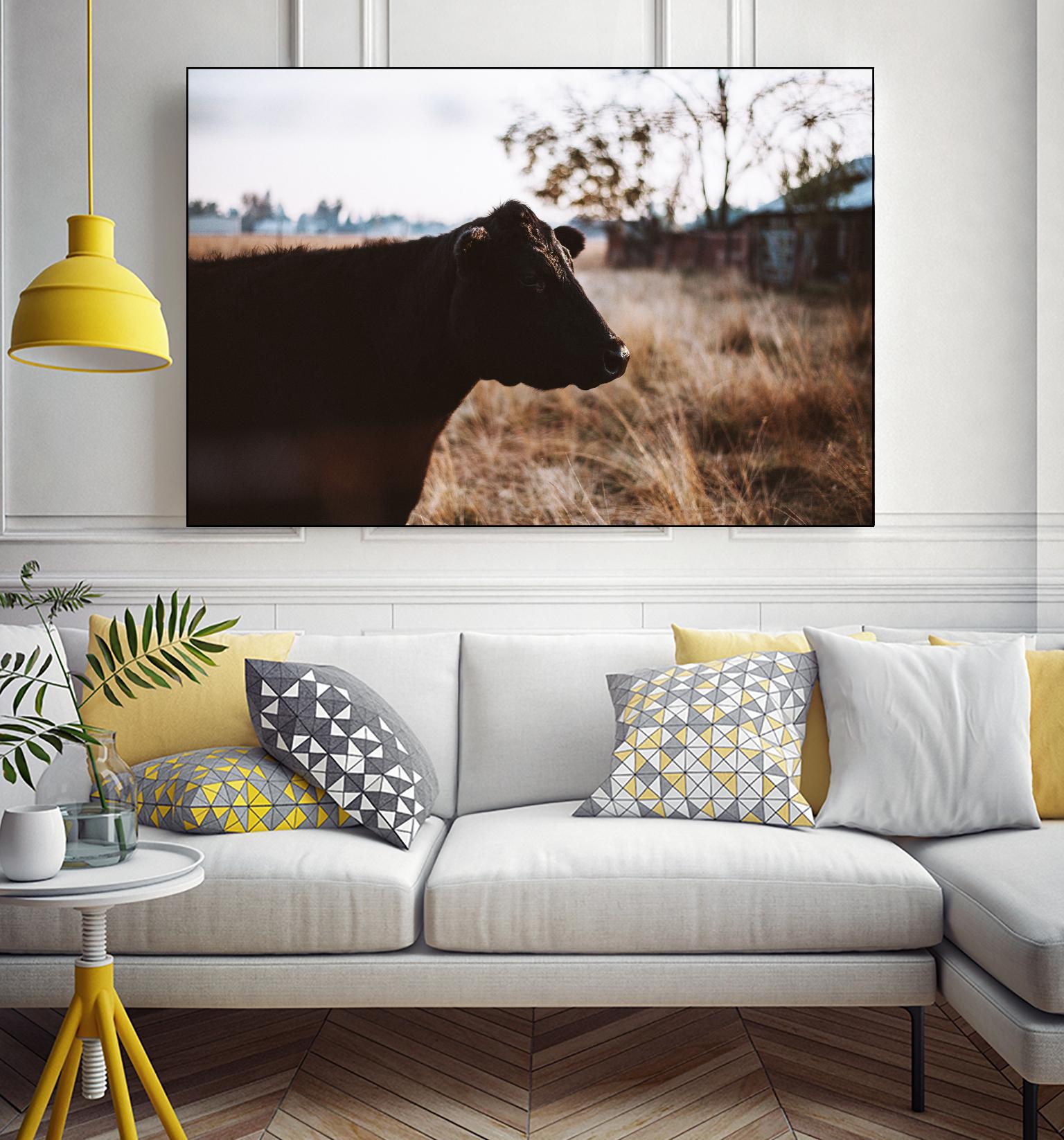 Cow by Pexels on GIANT ART - brown animals