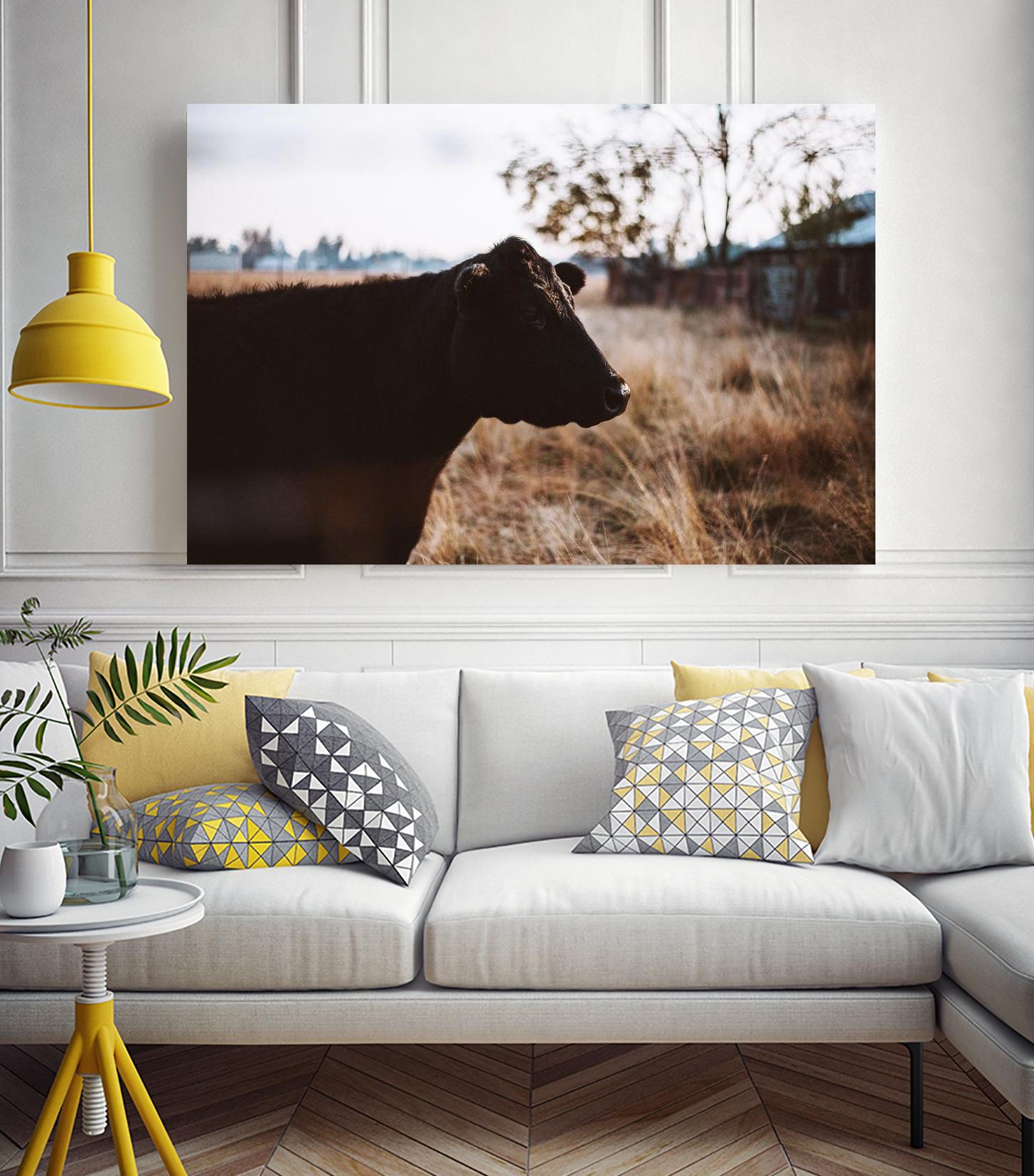 Cow by Pexels on GIANT ART - brown animals