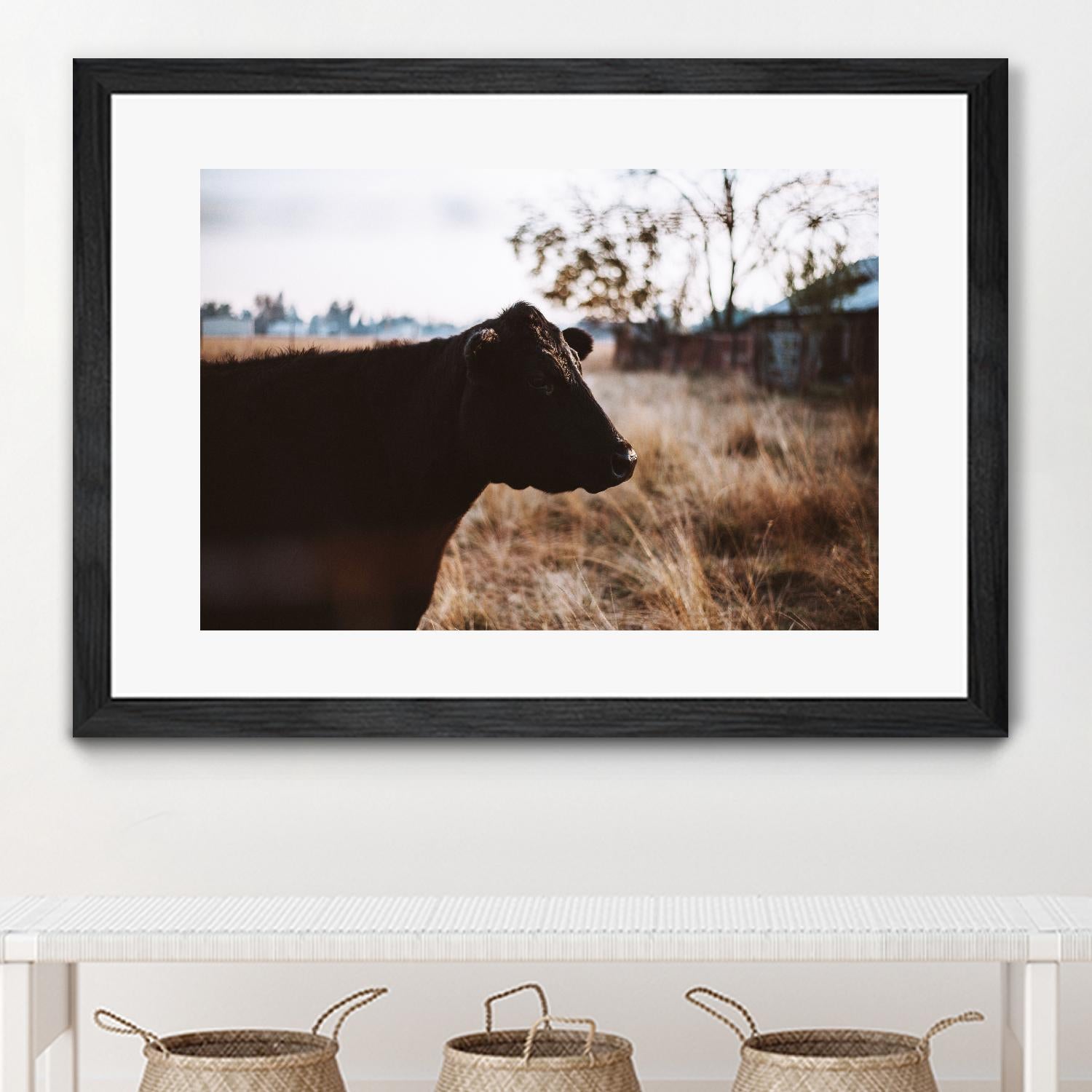 Cow by Pexels on GIANT ART - brown animals