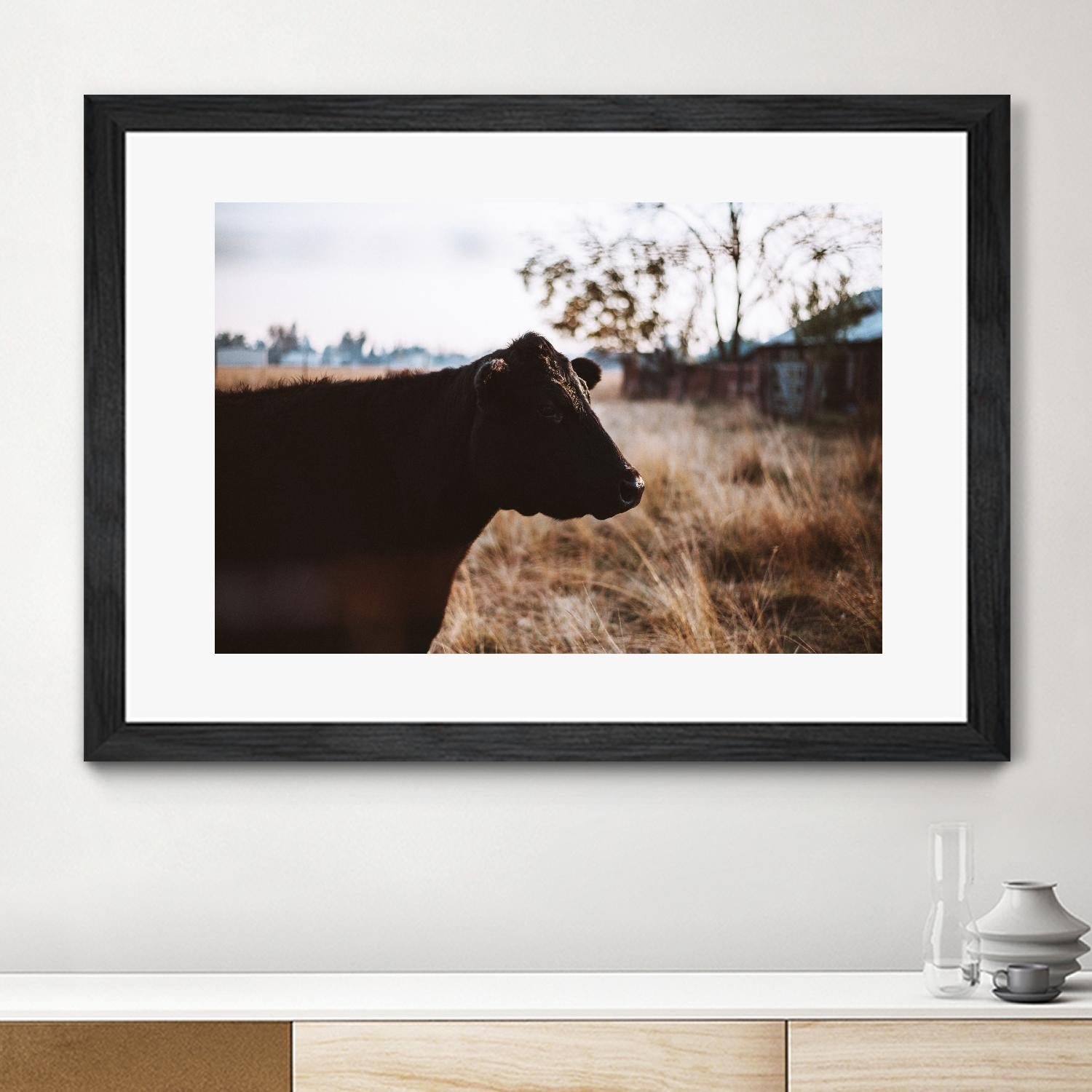 Cow by Pexels on GIANT ART - brown animals