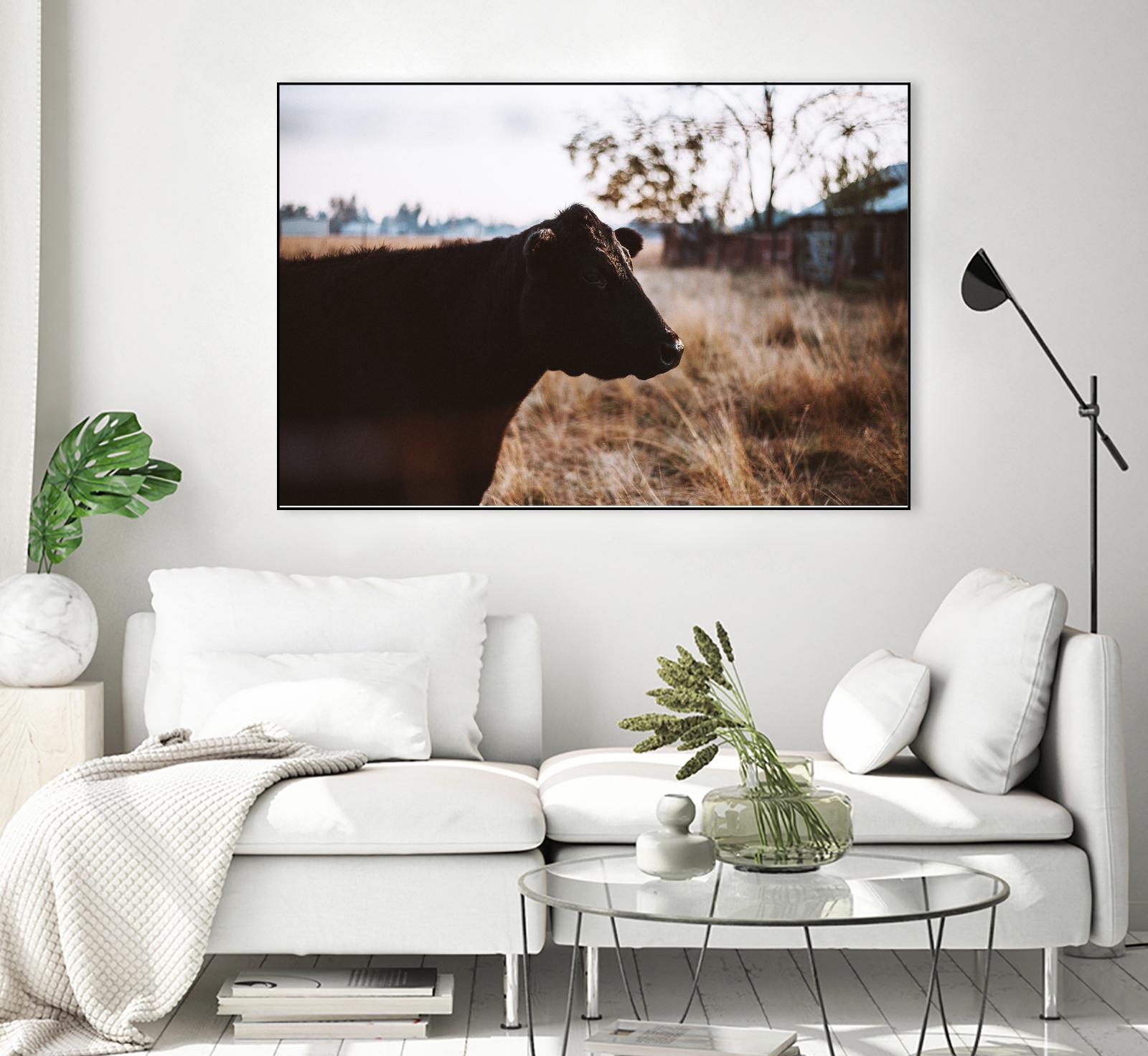 Cow by Pexels on GIANT ART - brown animals