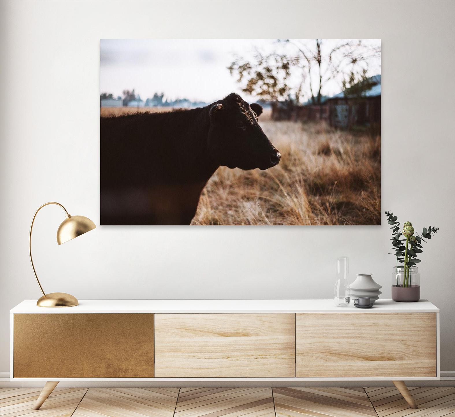 Cow by Pexels on GIANT ART - brown animals