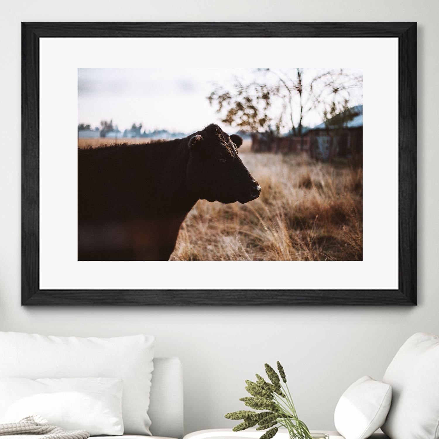 Cow by Pexels on GIANT ART - brown animals