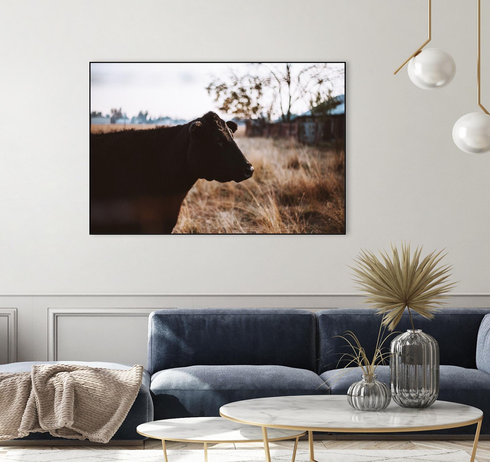 Cow by Pexels on GIANT ART - brown animals
