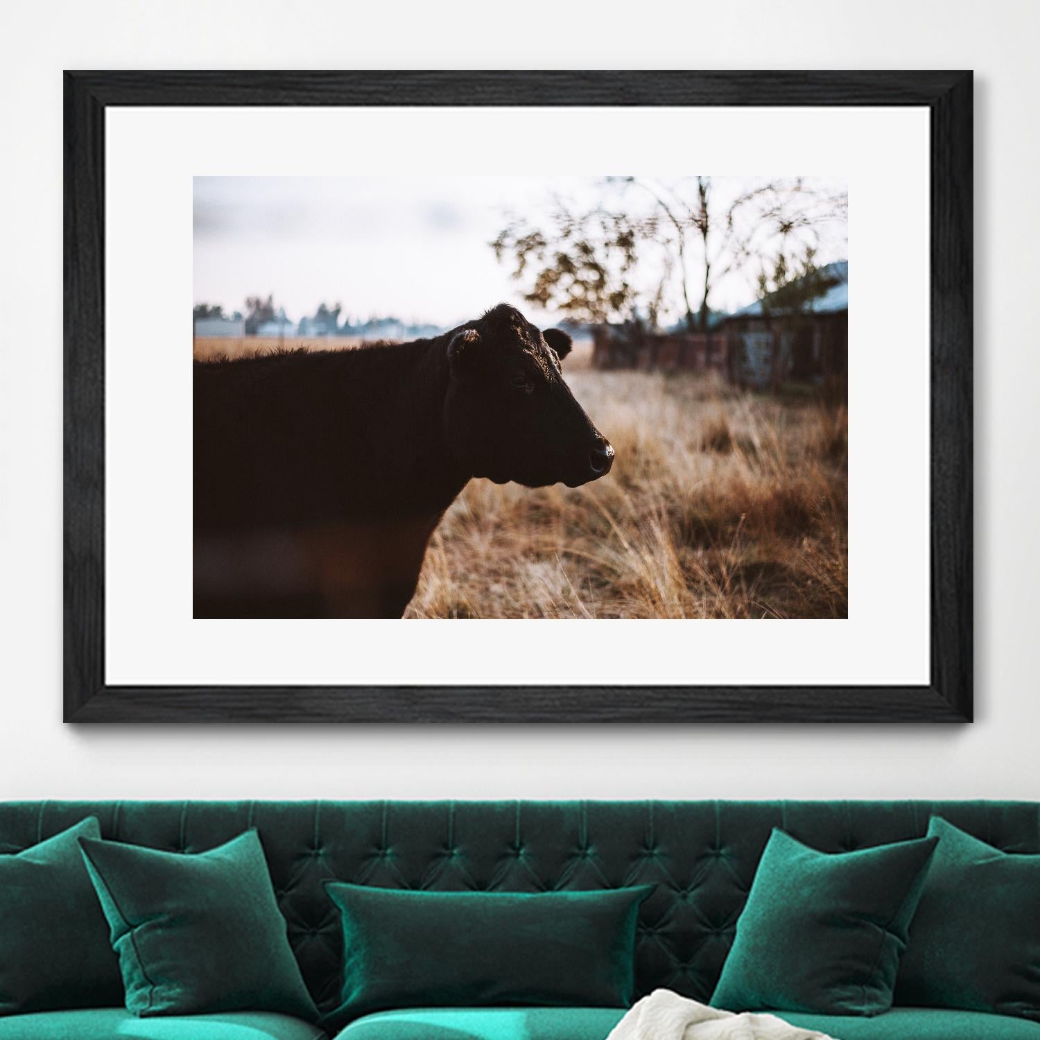 Cow by Pexels on GIANT ART - brown animals