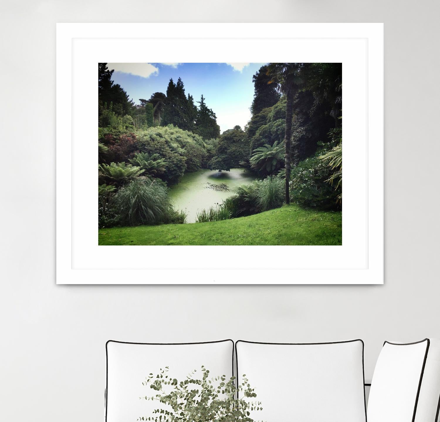 Swamp by Pexels on GIANT ART - green landscape