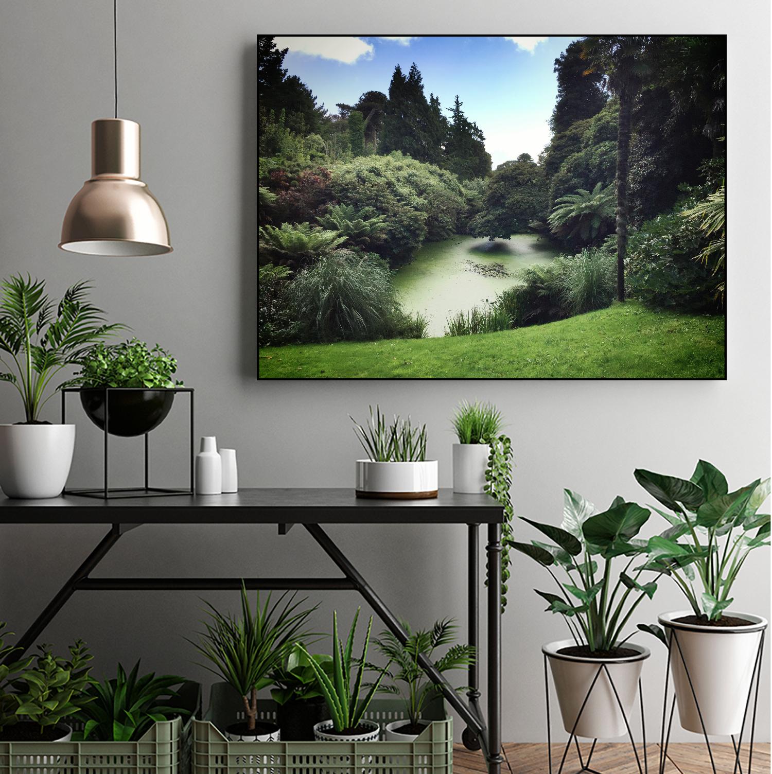 Swamp by Pexels on GIANT ART - black landscape