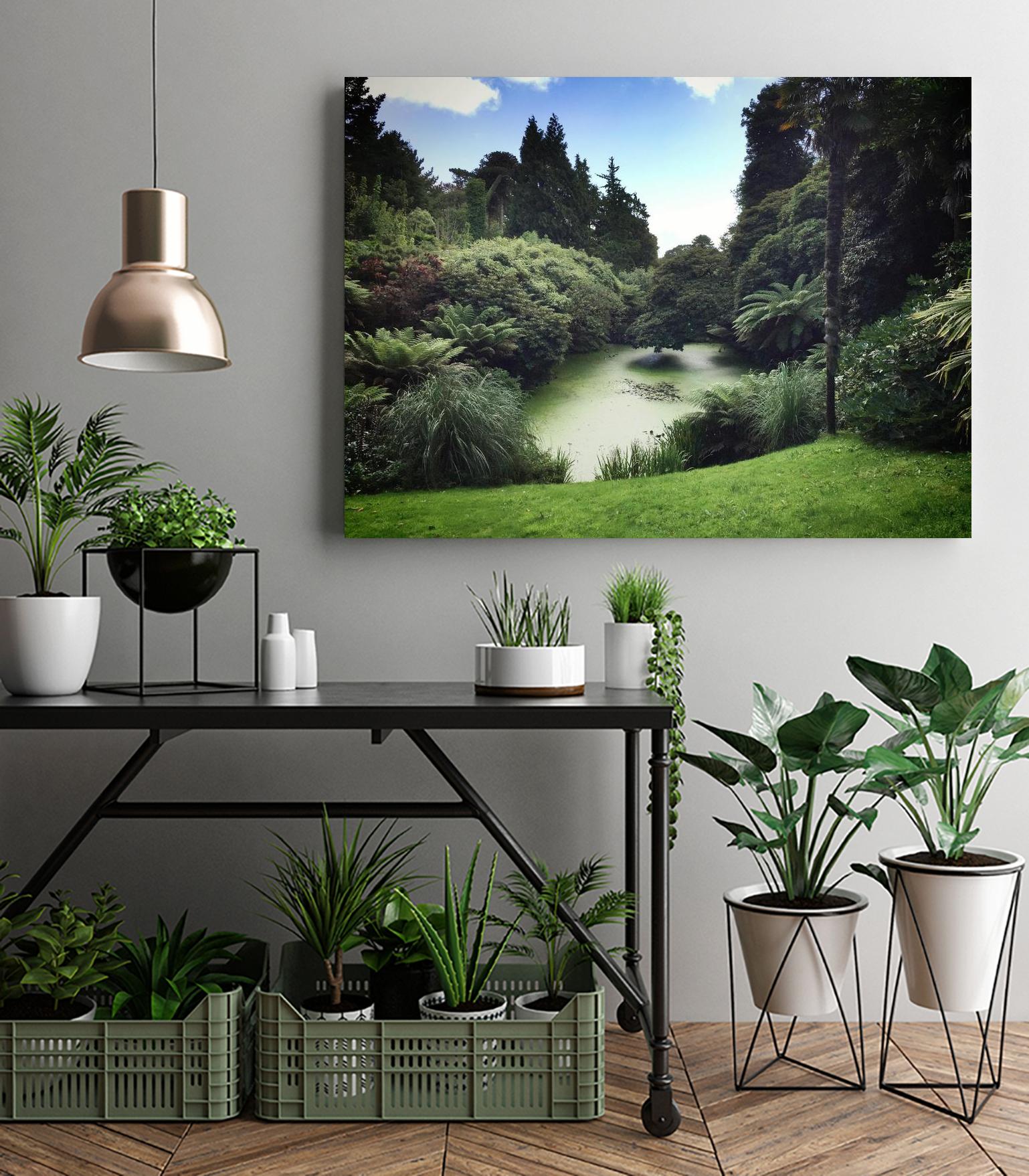 Swamp by Pexels on GIANT ART - green landscape