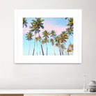 Coconut Palms by 83 Oranges on GIANT ART - bleu digital sky