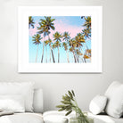 Coconut Palms by 83 Oranges on GIANT ART - bleu digital sky