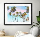 Coconut Palms by 83 Oranges on GIANT ART - bleu digital sky