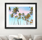 Coconut Palms by 83 Oranges on GIANT ART - bleu digital sky