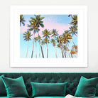 Coconut Palms by 83 Oranges on GIANT ART - bleu digital sky