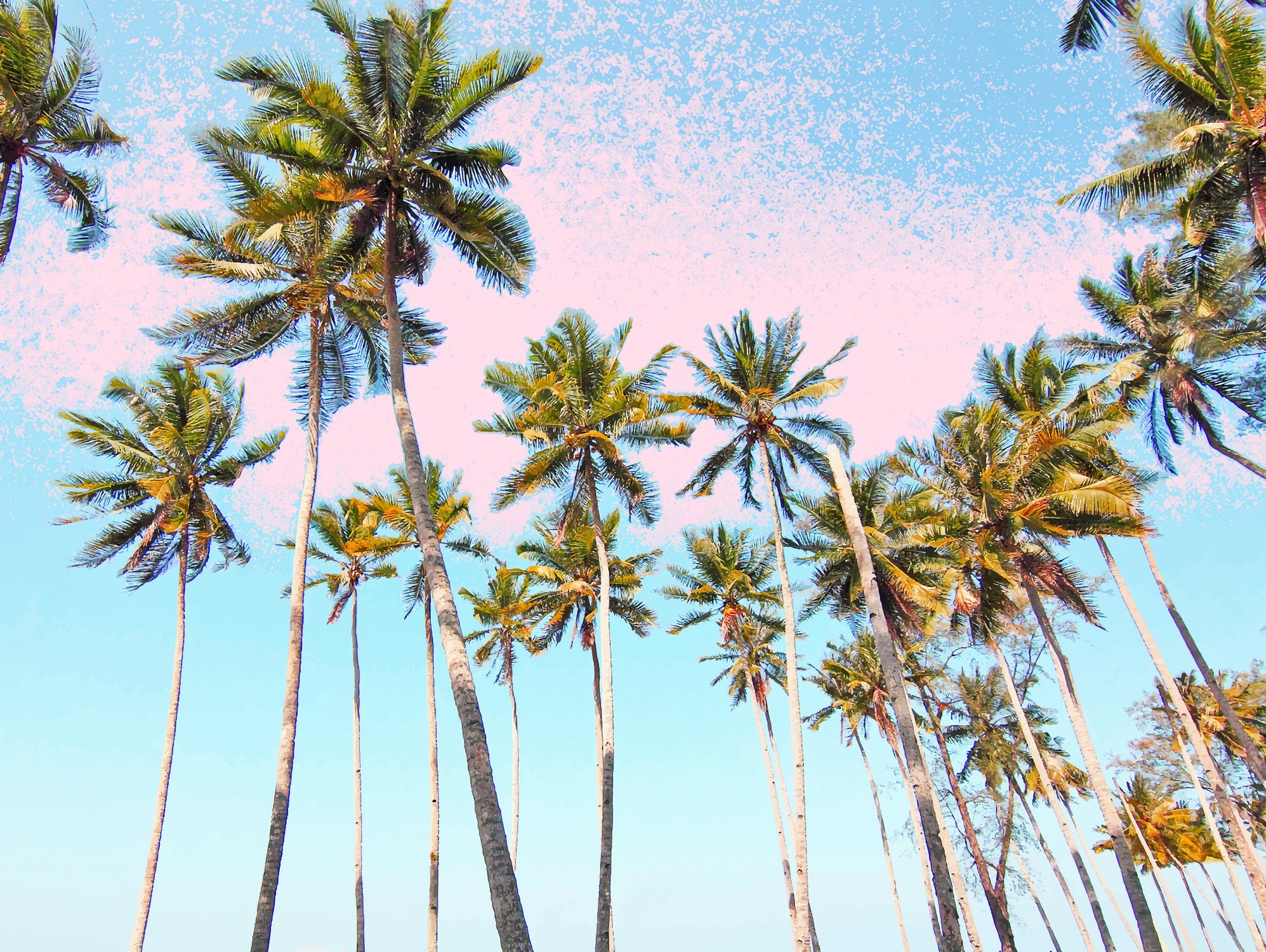 Coconut Palms by 83 Oranges on GIANT ART - bleu digital sky