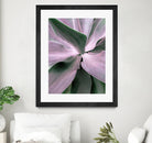 Agave by Caterina Lo Cicero on GIANT ART - pink pink