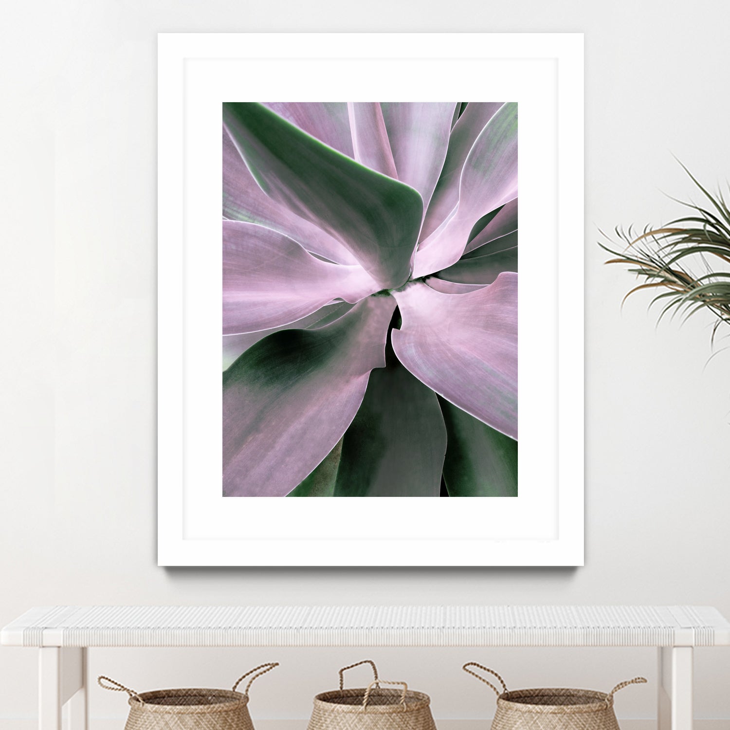 Agave by Caterina Lo Cicero on GIANT ART - pink pink