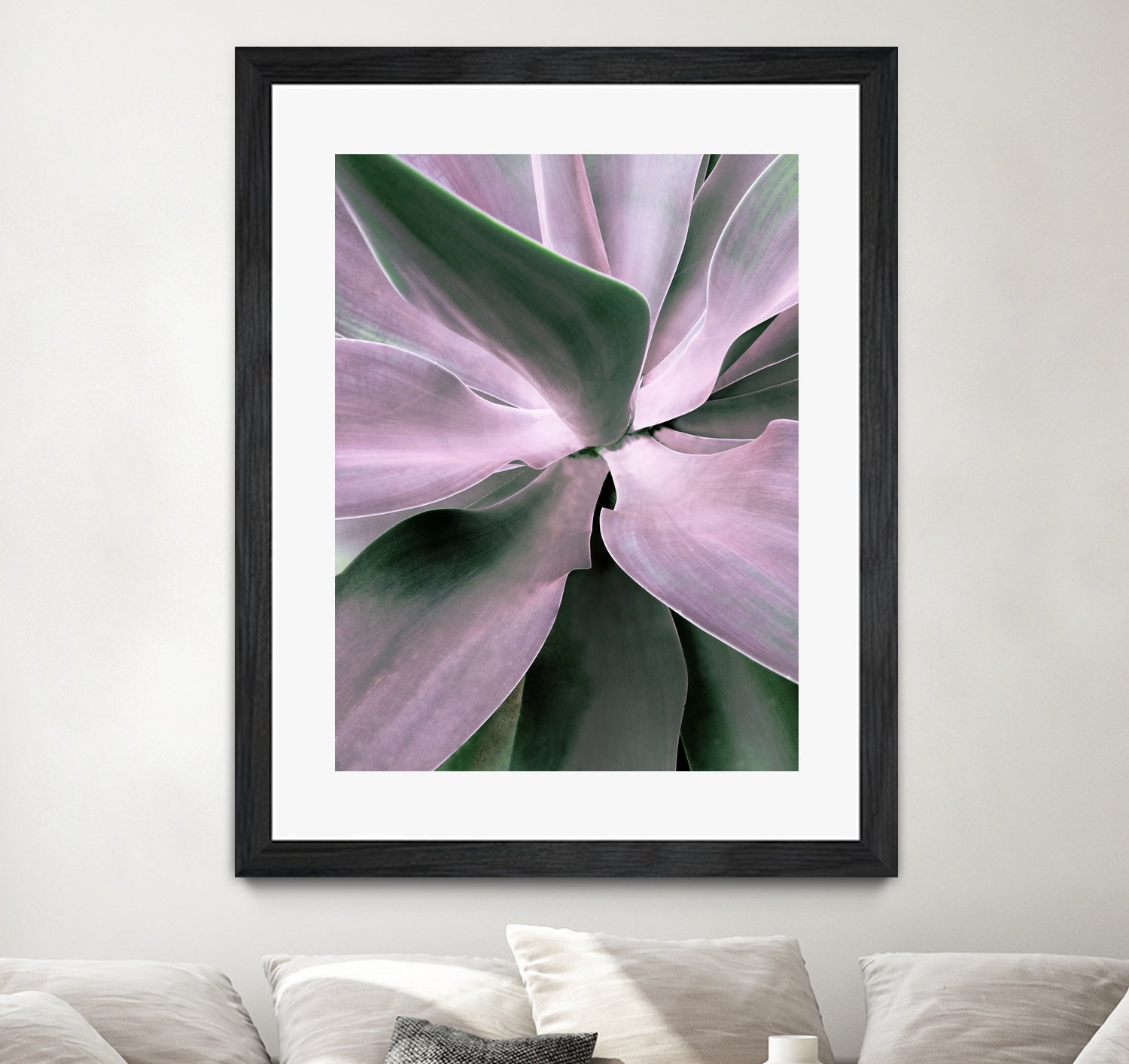 Agave by Caterina Lo Cicero on GIANT ART - pink pink