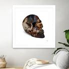 Skull by Caterina Lo Cicero  on GIANT ART