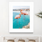 Flamingo on City Beach by Creativeaxle on GIANT ART