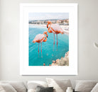 Flamingo on City Beach by Creativeaxle on GIANT ART