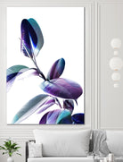 Minimal Rubber foliage in Blue and Purple on White by Dominique Vari on GIANT ART