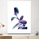 Minimal Rubber foliage in Blue and Purple on White by Dominique Vari on GIANT ART