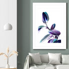 Minimal Rubber foliage in Blue and Purple on White by Dominique Vari on GIANT ART