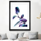 Minimal Rubber foliage in Blue and Purple on White by Dominique Vari on GIANT ART