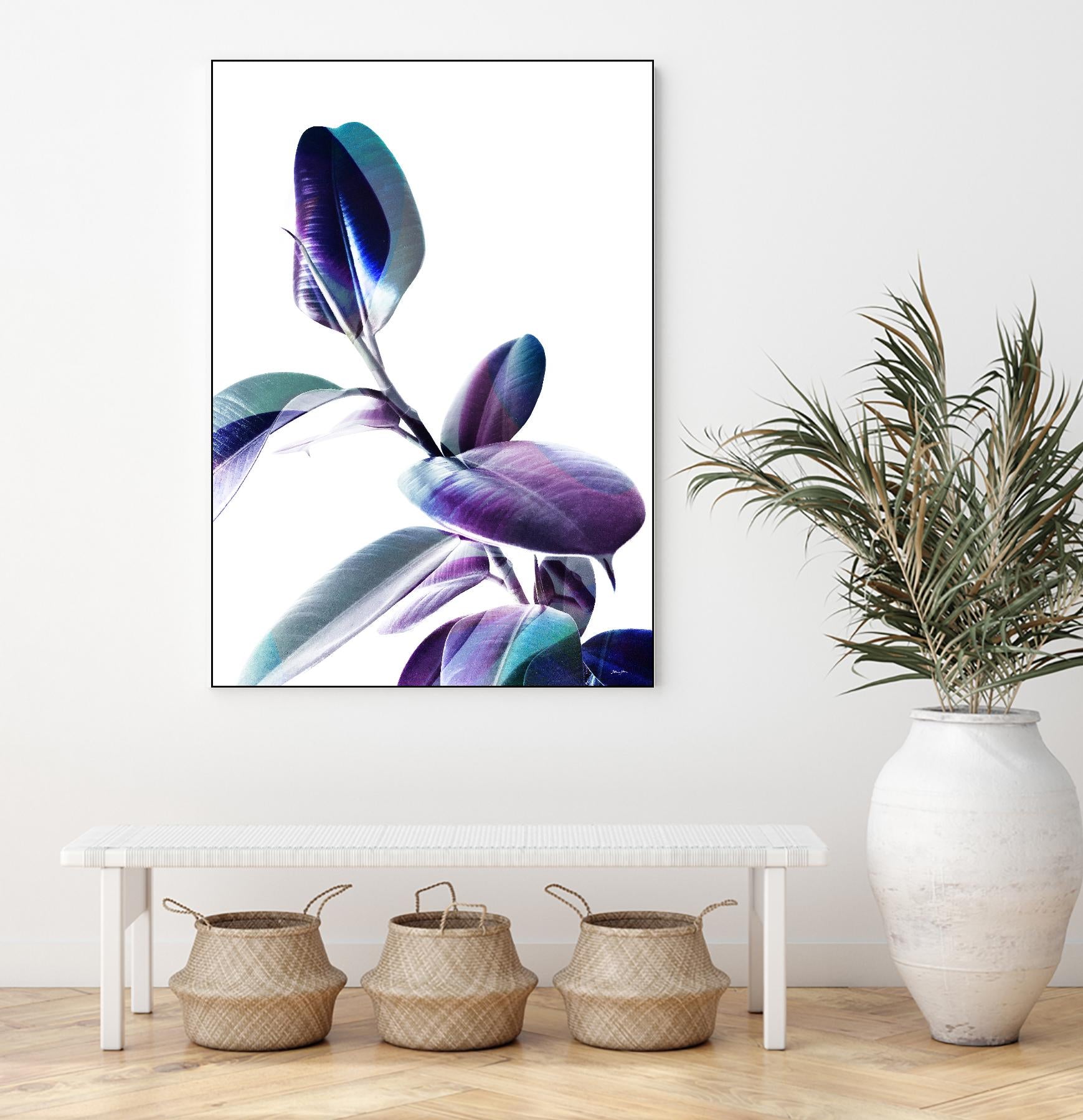 Minimal Rubber foliage in Blue and Purple on White by Dominique Vari on GIANT ART