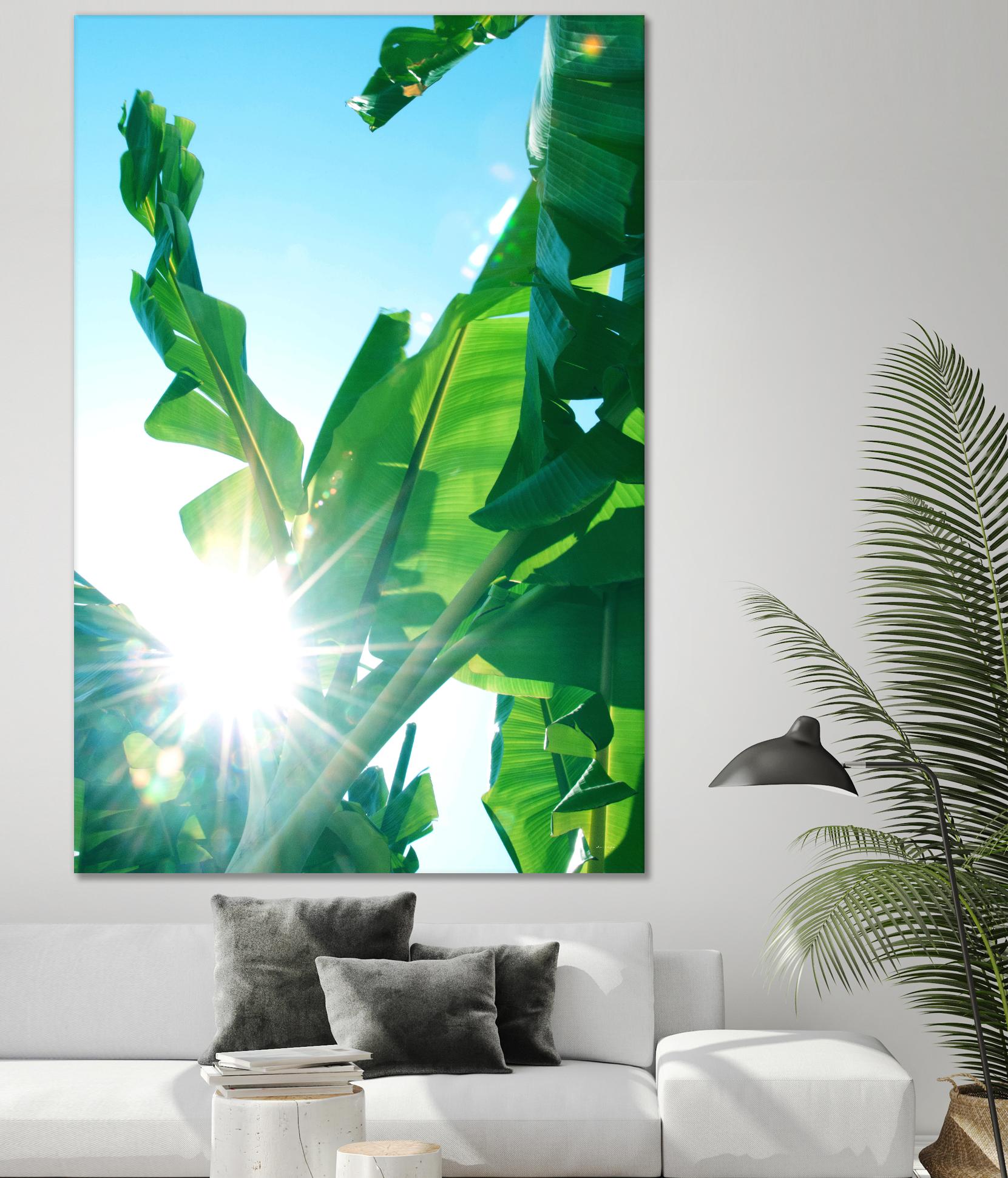 Banana Leaves Delight #1 #tropical #decor #art by Anita's & Bella's Art on GIANT ART