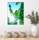 Banana Leaves Delight #1 #tropical #decor #art by Anita's & Bella's Art on GIANT ART