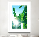 Banana Leaves Delight #1 #tropical #decor #art by Anita's & Bella's Art on GIANT ART