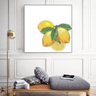 Limoncello by Oriana Cordero on GIANT ART - yellow photo illustration