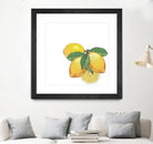 Limoncello by Oriana Cordero on GIANT ART - yellow photo illustration