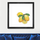 Limoncello by Oriana Cordero on GIANT ART - yellow photo illustration