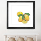 Limoncello by Oriana Cordero on GIANT ART - yellow photo illustration