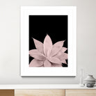 Blush Agave on Black #1 #tropical #decor #art by Anita & Bella Jantz on GIANT ART - pink photo illustration